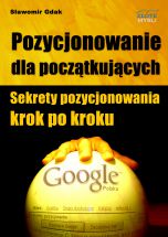 okładka książki Pozycjonowanie dla początkujących (Wersja drukowana) książka Pozycjonowanie dla początkujących (Wersja drukowana)
