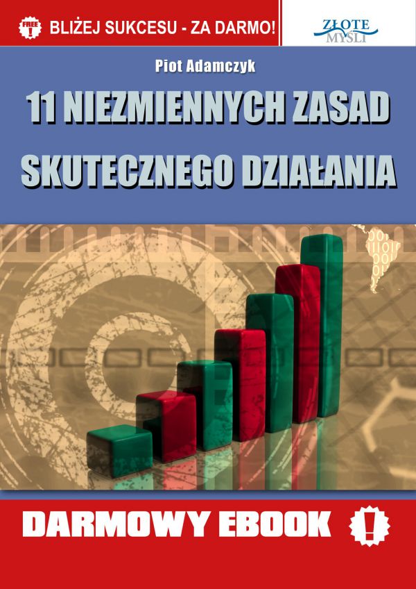 11 niezmiennych zasad skutecznego działania (Wersja elektroniczna (PDF))