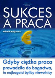 okładka książki Sukces a praca