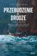 okładka - książka, ebook Przebudzenie w drodze